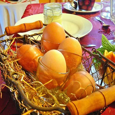 Flat In Alsace Near Vosges Nature Park