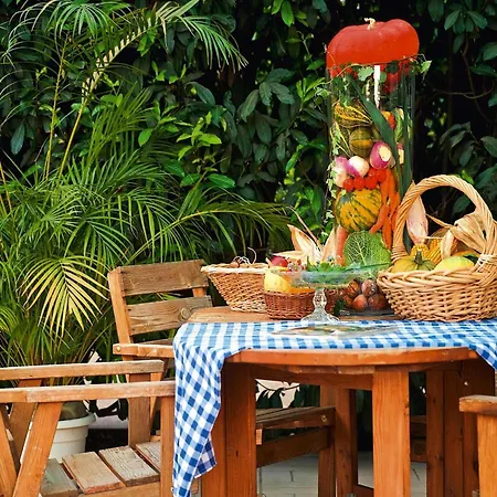 Flat In Alsace Near Vosges Nature Park Apartment Morschwiller