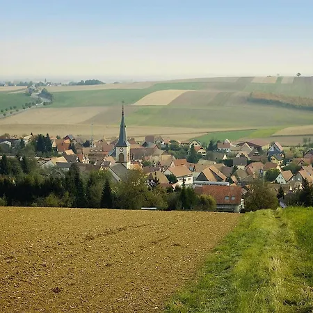 Apartment Flat In Alsace Near Vosges Nature Park