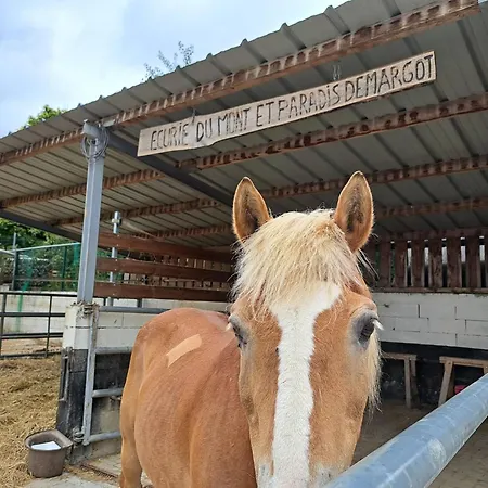 Apartment Flat In Alsace Near Vosges Nature Park
